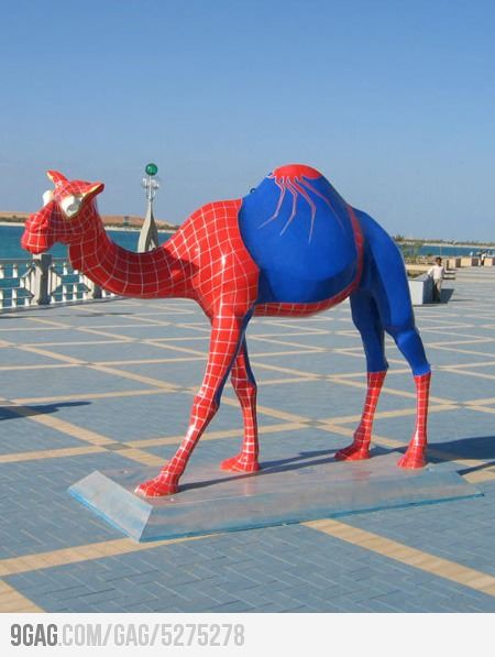 Spider Camel Hump Day Humor, ريك غرايمز, The Meta Picture, Foto Cartoon, صور مضحكة, Amazing Spiderman, Mens Costumes, Funny Cartoon, Cartoon Wallpaper