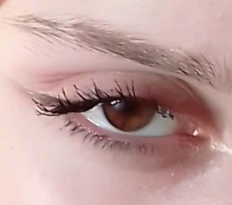 Siren Brown Eyes, Brown Siren Eyes, Upturned Eyes Aesthetic, Sanpaku Eyes Aesthetic, Siren Eyes Aesthetic, Upturned Eyes, Eyeliner Brown Eyes, Siren Eye, Feline Eyes