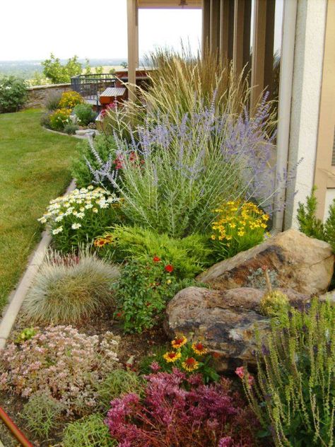 Spring Garden Ideas, Xeriscape Front Yard, Desert Gardens, Succulent Landscape Design, Succulent Landscaping, Front Yard Design, Deco Nature, High Desert, Landscape Plans