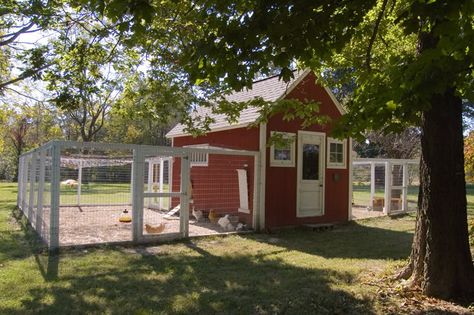 awesome coop Layout House, Cheap Chicken Coops, Best Egg Laying Chickens, Easy Chicken Coop, Detail Drawing, Egg Laying Chickens, Chicken Tractors, Coop Design, Layout Plan