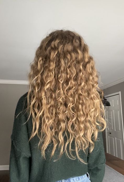 Blonde Curly Balayage Natural, Long Textured Wavy Hair, Long Blond Curly Haircut, Blonde Highlights On Blonde Hair Curly, Blonde Curly Hair Layers, Naturally Curly Blonde Balayage, Curly Blonde And Brown Hair, Healthy Blonde Curly Hair, Medium Blonde Curly Hair