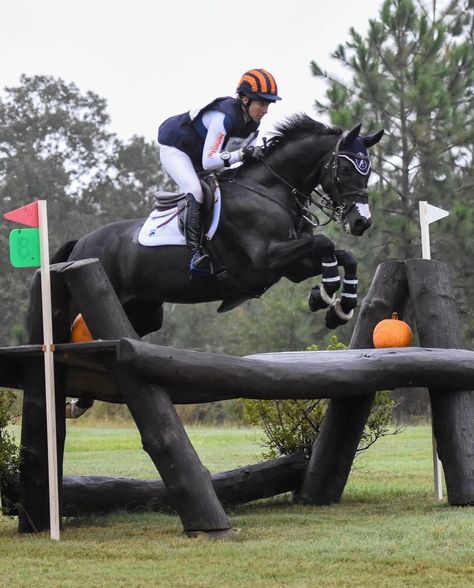 Cross Country Riding Aesthetic, Horse Riding Cross Country, Eventing Horses Cross Country, Xc Horse, Cross Country Horse Riding, Horse Competition, Horse Collection, Equestrian Aesthetic, Eventing Horses