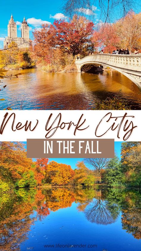 The leaves are changing, the air is cooling down, and there's a certain magic in the air. Fall is my favorite season and I think it shows in these photos of New York City. Take a stroll through Central Park or wander the streets of the West Village – either way, you can't help but fall in love with NYC in Fall!! #NewYorkCity #NYC #NYCTravel New York City Images, Fall In Nyc, Central Park View, Summer In Nyc, New York City Pictures, New York City Guide, Nyc Times Square, Nyc Fall, New York City Map