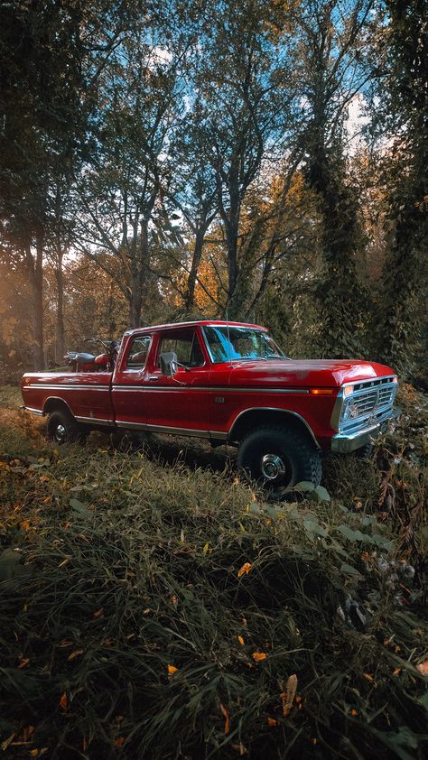 Classic Red Ford F-250 in the Woods Old Ford Pickups, Truck Restoration, Classic Trucks Vintage, Old Ford Truck, 1979 Ford Truck, Vintage Pickup, Rugged Design, Vintage Pickup Trucks, Old Ford Trucks