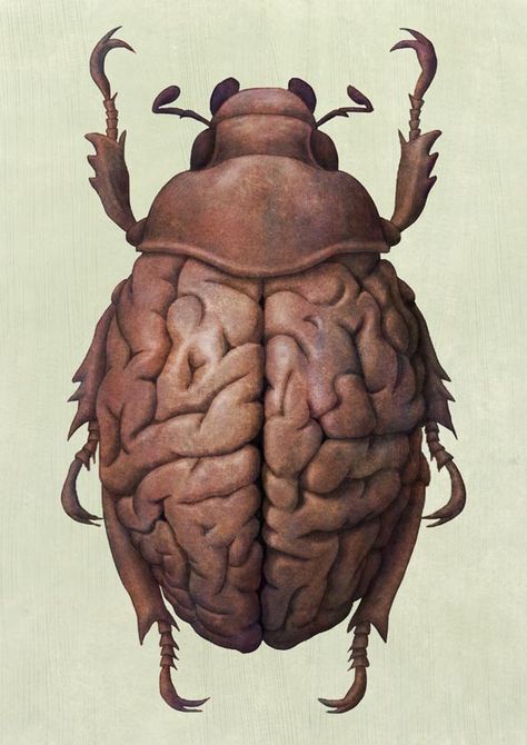 011 by 2-1-2.deviantart.com on @deviantART Scientific Illustration Insects, Bug Anatomy Illustration, Horror Insect Art, Ladybug Scientific Illustration, Beetle Scientific Illustration, Human Body Art, Brain Art, Paper Artsy, Artist Models