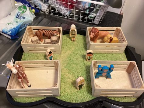 Zoo Sensory, Reggio Activities, Sensory Tray, Dear Zoo, Fine Motor Development, Motor Development, Elementary Writing, Tuff Tray, Small World Play