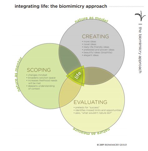 Biophilic Concept Sketches, Bio Mimicry Architecture, Biomimicry In Architecture, Bio Mimicry, Sustainable Graphic Design, Biofilic Design, Biomimicry Examples, Biomimicry Design, Biomimicry Architecture