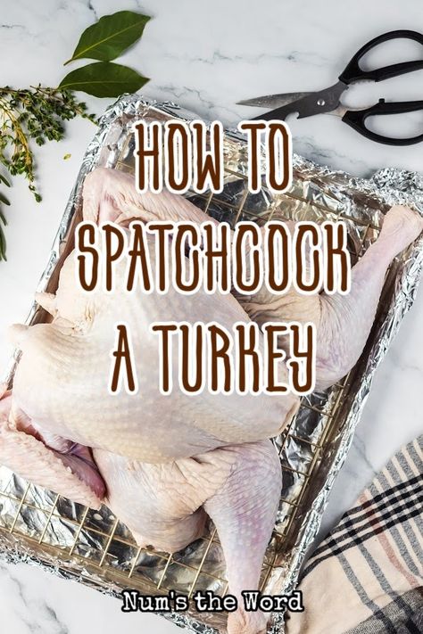 Have you ever wondered what a spatchcock turkey was or or how to spatchcock a turkey?  This step by step guide will help you master the skill to a quick cooking turkey! #spatchcockturkey #spatchcock #spatchcockturkeyrecipe #howtospatchcockaturkey #spatchcockaturkey #spatchcockingaturkey #spatchcokturkey #spatchcokedturkey #numstheword Roasting Recipes, Spatchcocked Turkey, Spatchcock Turkey Recipe, Spatchcock Turkey, Poultry Dishes, Brine Recipe, Cooking Turkey, Quick Cooking, Family Favorite Meals