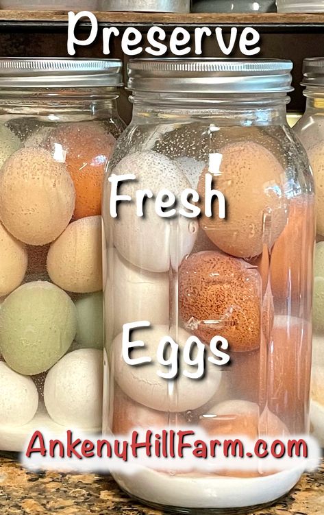 Water Glassing Eggs with Pickling Lime - Ankeny Hill Farm Pickling Lime Eggs, Preserving Eggs In Pickling Lime, Water Glassing Eggs, Mason Jar Eggs, Pickling Lime, Glassing Eggs, Lime Eggs, Preserving Eggs, Liver Diet Recipes