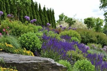 Landscaping A Slope, Landscape Nursery, Landscaping On A Hill, Contemporary Garden Design, Hillside Garden, Hillside Landscaping, Garden On A Hill, Sloped Garden, Contemporary Garden