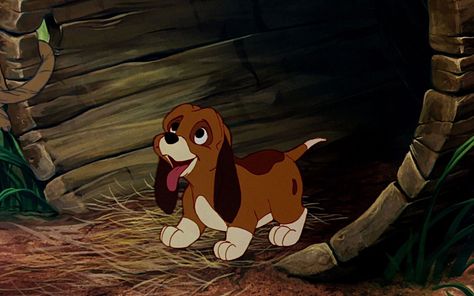 Cartoon The Fox And The Hound  Wallpaper Spongebob Friends, Friends Adventures, Hound Puppies, The Hound, Disney Dogs, Disney Animals, The Fox And The Hound, Old Disney, Lady And The Tramp