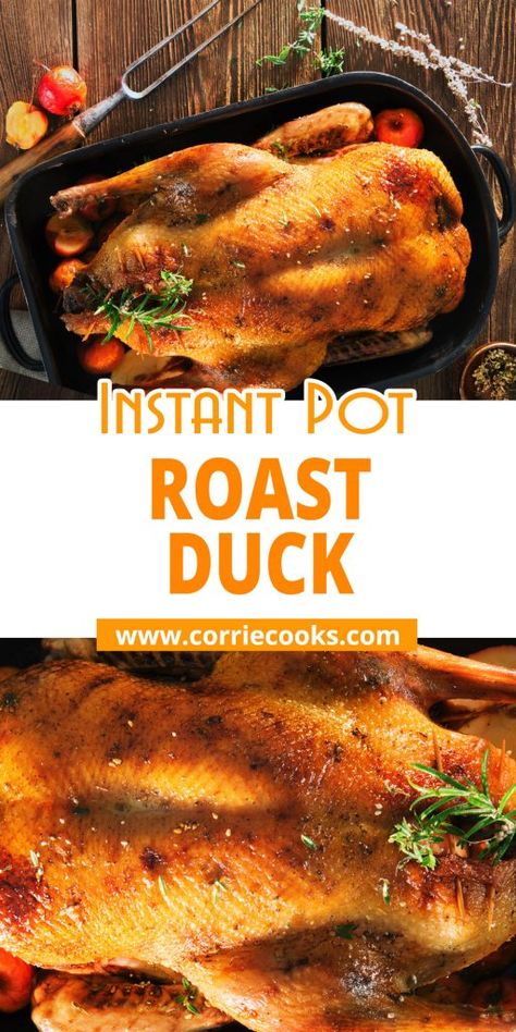 Instant Pot Roasted Duck https://www.corriecooks.com/instant-pot-roasted-duck/ Instapot Duck Recipe, Pressure Cooker Duck Recipes, Whole Duck Instant Pot Recipe, Duck Recipes Instant Pot, Instant Pot Duck Recipes, Duck Instant Pot Recipe, Instant Pot Duck, Slow Cooker Duck, Whole Duck Recipes