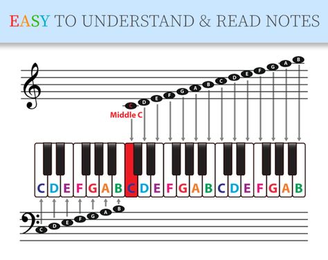 Piano Music For Kids, Piano Cords, Stickers Usa, Music Basics, Piano Easy, Piano Lessons For Kids, Beginner Piano Music, Piano Chords Chart, Reading Sheet Music