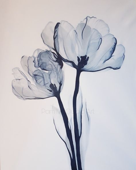 Winsor And Newton Watercolours on Hot Pressed Watercolour Paper Awake Natasha Preston, Lucy Newton Watercolor, Winsor And Newton, Winsor And Newton Watercolor, Sketchbook Illustration, Transparent Flowers, Watercolor Sketchbook, Watercolour Paper, X Ray