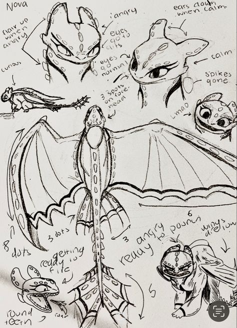 Httyd Sketches Dragons, Elder Night Fury, Nightfury Sketches, Night Fury Anatomy, Night Fury Sketch, Httyd Book Of Dragons Pages, Light Fury Drawing, Night Fury Drawing, Httyd Oc Dragon