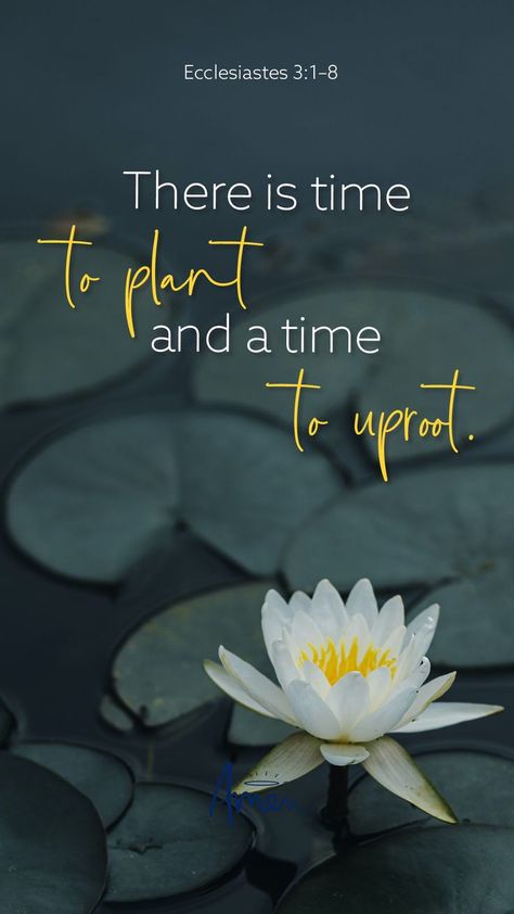 There is a rhythm to our existence which we have no choice but to accept. #phonebackground #biblelessons #waterlilies #wallpaper #bibleverse I Trust You Quotes, Love Quotes For Crush, Prayers Of Gratitude, Bible Verse Background, Bible Words Images, Bible Verses About Love, Inspirational Verses, Look Up Quotes, Encouraging Scripture