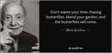 Discover Mario Quintana famous and rare quotes. "Don't waste your time chasing butterflies. Mend your..." Quotes Related To Butterfly, Mario Andretti Quote, The Butterfly Effect Quotes, Don’t Waste Your Time Chasing Butterflies, Butterfly Garden Quote, Rare Quote, Top Quotes, People Change, Body Healing