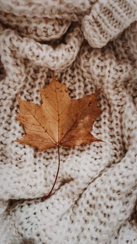 Fall Esthetic Background, November Backgrounds Aesthetic, November Wallpaper Iphone Aesthetic, November Asethic, Phone Wallpaper November, Background Aesthetic Fall, Autumn Astetic, Fall Esthetic, November Wallpaper Aesthetic