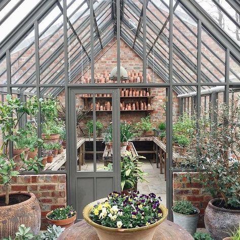 Greenhouse Attached To House, Greenhouse Room, Glass Green House, Garden Shed Interiors, Conservatory Greenhouse, Garden Art Diy Easy, Greenhouse Shed, Greenhouse Ideas, Greenhouse Interiors