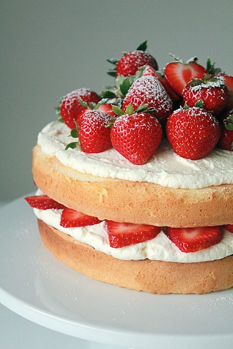 Strawberry and Cream Sponge Cake Cake With Frosting, Tiramisu Cheesecake, Strawberry And Cream, Sponge Cake Recipes, Caramel Cheesecake, Tasty Kitchen, Recipe Community, Pecan Pie, Strawberry Cake