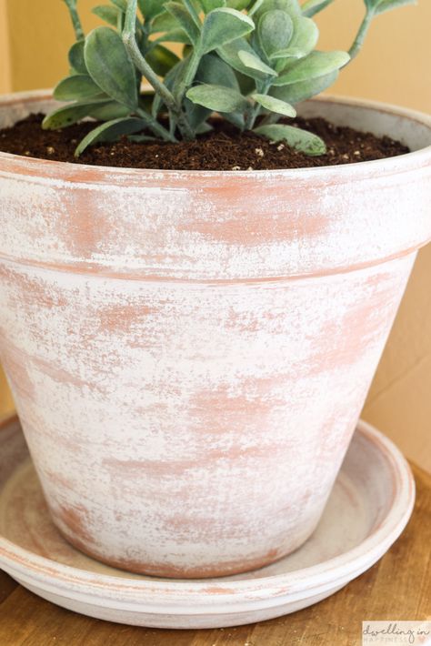 Whitewashing Terra Cotta Pots, Whitewash Terracotta Pots, Punny Pots, Age Terra Cotta Pots, Terracotta Painting, Aging Terra Cotta Pots, Diy Terra Cotta Pots, Winter Centerpiece, Terra Cotta Pots