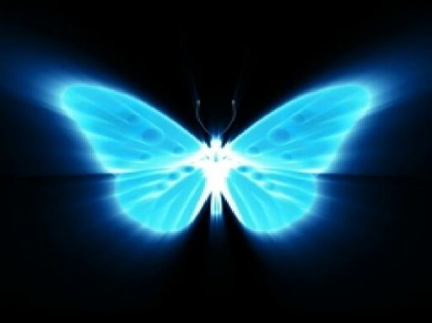 Neon Blue Background, Neon Butterfly, Neon Wallpapers, Neon Backgrounds, Background Hd Wallpaper, Blue Neon, Neon Wallpaper, Awareness Ribbons, Butterfly Wallpaper