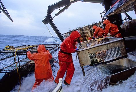 Crab fishermen AK Alaskan King Crab, Alaska The Last Frontier, Deadliest Catch, Alaska Fishing, Crab Stuffed Shrimp, Dangerous Jobs, Crab Fishing, Fishing Pictures, King Crab