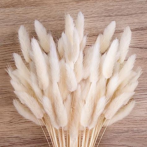 Lagurus Ovatus, Fall Tray Decor, Fall Tray, Rabbit Tail, Pampas Grass Bouquet, Grass Decor, Pampas Grass Decor, Bunny Tails, Fluffy Bunny