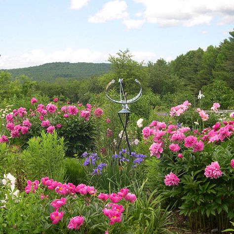 Memories of Summer in Maine Maine Gardens, Maine Flowers, Summer In Maine, Maine Garden, Steep Gardens, Fine Gardening Magazine, Living In Harmony, Paradise Garden, Blue Cottage