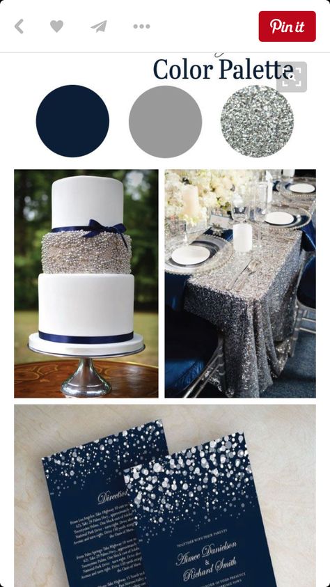 Color palette Color Palette For Blue, Black Silver Wedding, Blue And Silver Wedding, Silver Palette, Wedding Navy Blue, Silver Color Palette, Wedding Navy, Tiffany Wedding, Navy Blue Wedding