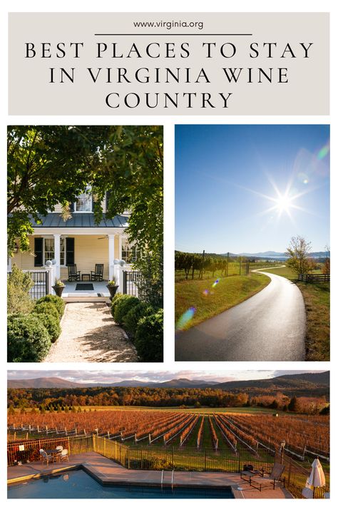 Plan a getaway to Virginia's wine country. Stay in scenic inns and sip on Virginia's finest wines. Farmhouse Inn, Virginia Wine Country, Virginia History, Virginia Wineries, Wine Tasting Experience, Rock Photography, Wine Trail, Shenandoah Valley, Wine Enthusiast