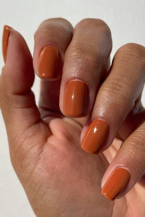 Burnt Orange Nails 2023 Nail, Orange Nail Designs, Orange Nail Polish, Fall Nail Polish, Simple Fall Nails, Nagellack Trends, Fall Manicure, Tree Nails, Fall Nail Trends