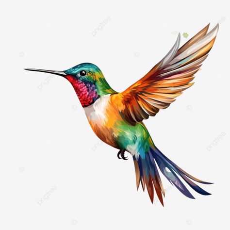 hummingbird watercolor clipart ai generated Hummingbird Clipart, Pastel Png, Hummingbird Illustration, Hummingbird Drawing, Hummingbird Watercolor, Fireworks Pictures, Nature Party, Kalamkari Painting, Marketing Poster