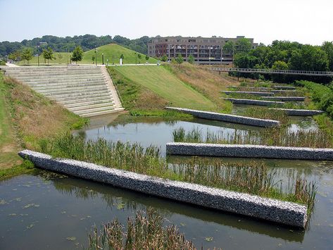 Constructed wetlands in part of Renaissance Park. Landscape Park, Water Architecture, Wetland Park, Sustainable Landscaping, Piscina Natural, Landscape And Urbanism, Chattanooga Tennessee, Landscape Architecture Design, Urban Park