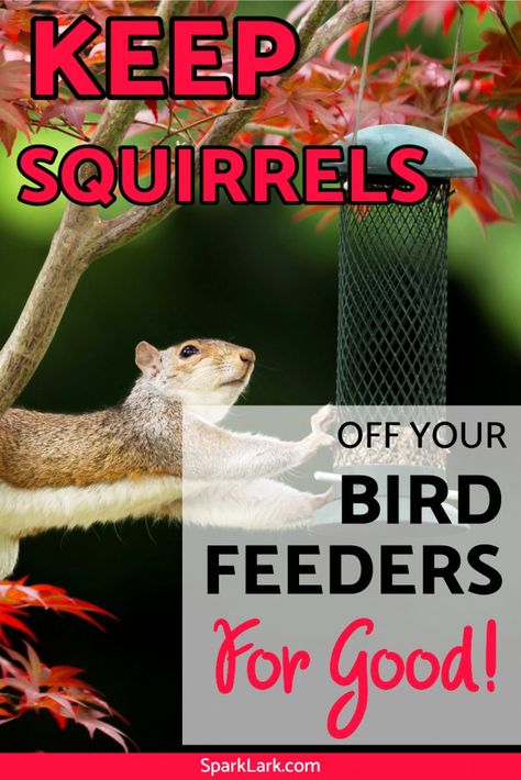 Diy Bird Feeder Pole, Anti Squirrel Bird Feeder, Squirrel Repellant, Bird Feeding Table, Bird Feeder Station, Best Bird Feeders, Squirrel Feeders, Squirrel Proof Bird Feeders, Bird Feeder Poles