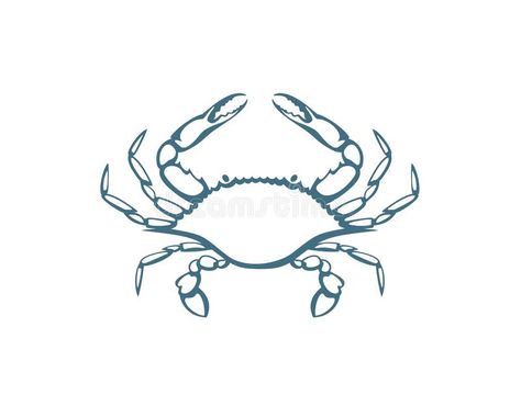 Moon Crab Tattoo, Mudcrab Tattoo, Crab Outline Drawing, Small Blue Crab Tattoo, Maryland Blue Crab Tattoo, Blue Crab Tattoo For Women, Maryland Crab Tattoo, Blue Crab Drawing, Simple Crab Tattoo