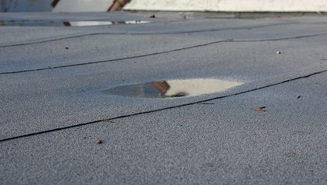 There are a variety of factors that can lead to a leak in your commercial flat roof. If not addressed quickly by professionals, your whole roof may need to be replaced. Flat Roof Replacement, Flat Roof Systems, Bitumen Roof, Flat Roof Repair, Roof Drain, Roof Leak, Garage Roof, Roofing Options, Harsh Winter