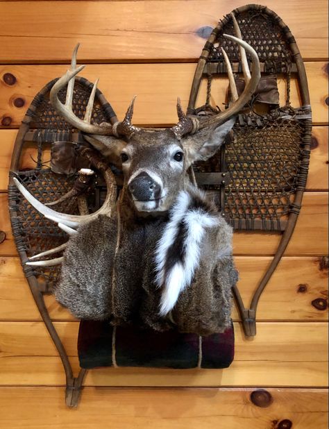 Deer Backpack Mount, Backpack Deer Mount, Cool Deer Mounts, Skull Mount Ideas, Turkey Hunting Decor, Hunting Room Design, Hunting Mounts, Hunting Room Decor, Deer Mount Decor