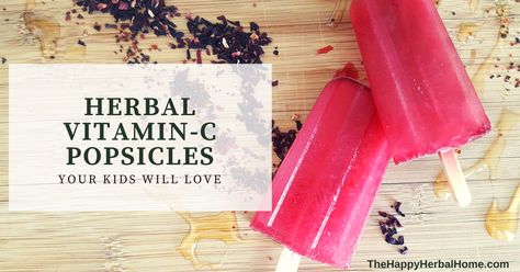 Herbal Vitamin-C filled popsicles your kids will love Herbal Vitamins, Toddler Nutrition, Rosehip Tea, Healthy Popsicles, Aesthetic Health, Tattoo Health, Vitamins For Kids, Hibiscus Tea, Bee Tattoo