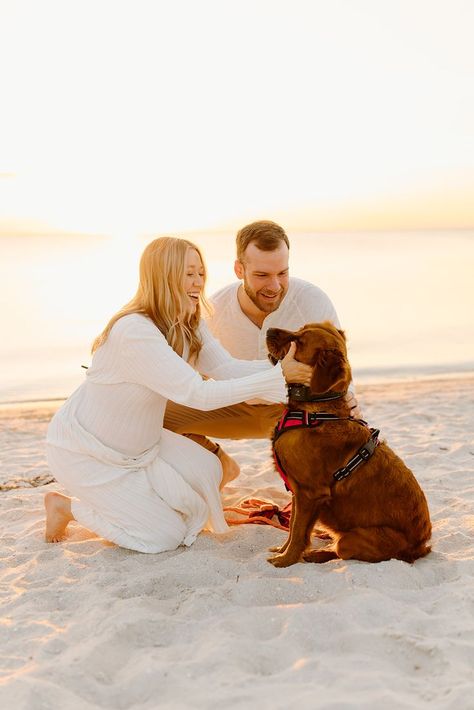 Sunset Maternity Session on the beach in Tampa Florida Beach Maternity Photos With Dog, Pregnant Beach, Beach Baby Announcement, Ocean Photoshoot, Winter Maternity Pictures, Family Dog Photos, Beach Pregnancy Announcement, Dog Pregnancy, Engagement Pictures Beach