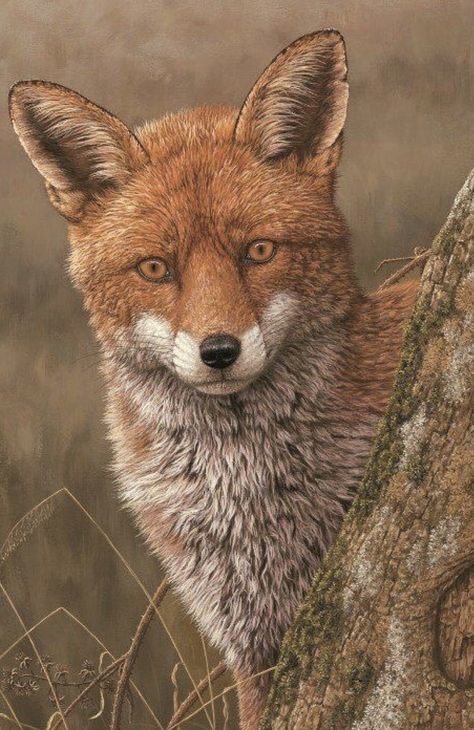 Robert E Fuller Fox Images, Robert Fuller, Fox Art, Red Fox, Wildlife Art, Pencil Art, Lion King, Sculptor, Animals Beautiful