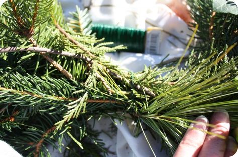 Pine Garland Christmas, Evergreen Garland, Evergreen Swag, How To Make Garland, Fresh Garlands, Christmas Tree Trimming, Diy Christmas Garland, Diy Christmas Wreaths, Christmas Tree Branches