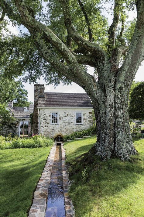 White House Garden, Bunny Mellon, Gardener Aesthetic, Tiered Garden, Aesthetic Garden, Flowers Wallpaper, Raised Beds, Southern Living, Spring Garden