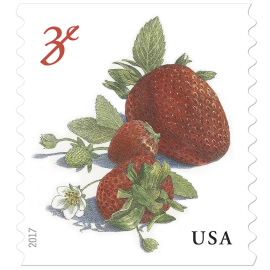 The Postal Store @ USPS.com Usa Stamps, Price Of Stamps, Red Pear, Strawberry Garden, Buy Stamps, Commemorative Stamps, Forever Stamps, Small White Flowers, Vintage Postage Stamps