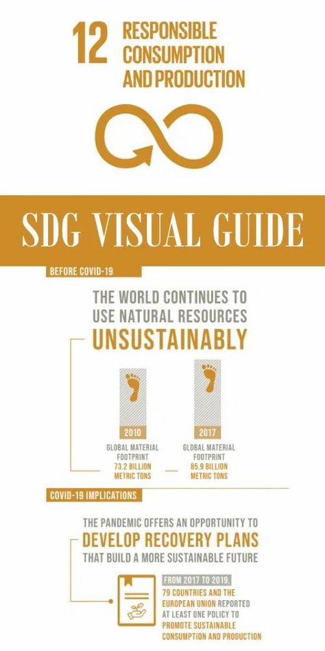 SDG 12: Responsible Consumption and Production Presentation - Jen Good Responsible Consumption And Production, Sdg Goals, Responsible Consumption, Social Studies Projects, Glassware Crafts, Coconut Bowls, Palm Leaf Plates, Sustainable Development Goals, Glassware Collection