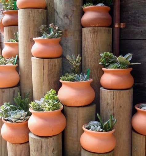 diy backyard planter Tanaman Air, نباتات منزلية, Cactus Y Suculentas, Cactus Garden, Diy Planters, Outdoor Ideas, Succulents Garden, Clay Pots, Rock Garden