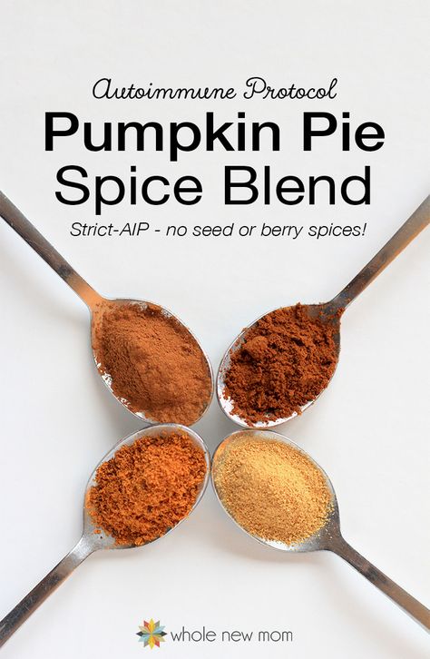 Aip Seasoning, Aip Spices, Aip Pumpkin Pie, Aip Thanksgiving, Aip Pumpkin, Diy Seasonings, Homemade Pumpkin Pie Spice, Healthy Pumpkin Dessert, Autoimmune Protocol Recipes