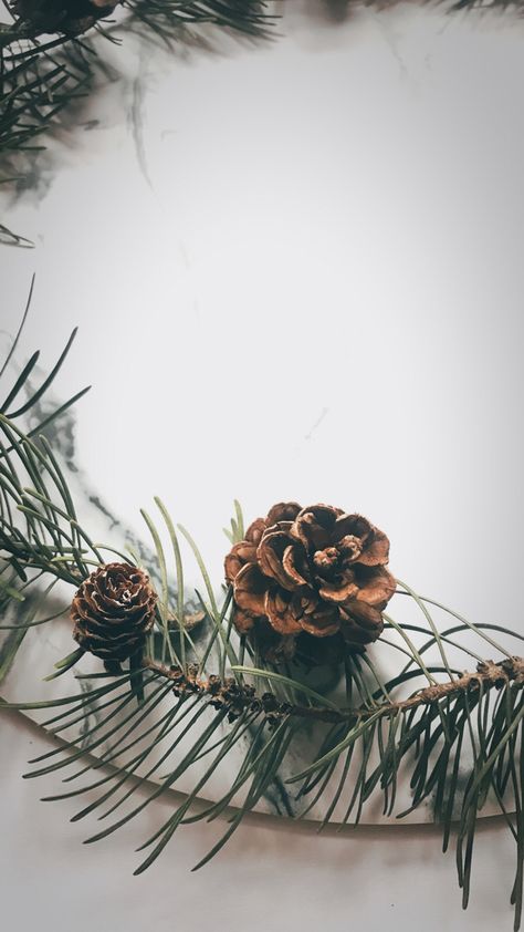 Pinecone Background, Pinecone Wallpaper, Christmas Wallpaper Hd, Cover Pics For Facebook, Xmas Wallpaper, Card Images, Online Logo Design, Beautiful Wallpaper For Phone, Online Logo