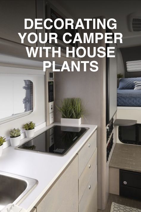 Decorating your new camper can be one of the most fun parts about personalizing your home away from home. One great addition is house plants! #Decor Hanging Plants In Rv, Plants In Camper, Rv Plants, Camper Revamp, Rv Restoration, Rv Camping Tips, Camper Living, Poisonous Plants, Rv Decor