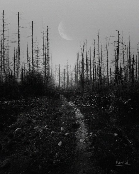 . The wanderer --- Images taken from free stock photos website, edited in Photoshop. . #darkart #darkphotography #darkpath #gloomy #darkforest #darkscape #darkmood #blackmetal #kimul #kimulart Nordic Noir Aesthetic, Nordic Noir, The Wanderer, Photo Website, Dark Photography, Dark Forest, Dark Art, Black Metal, Free Stock Photos